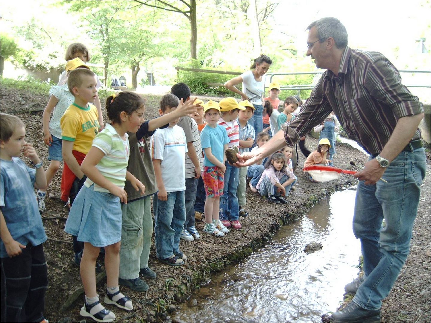 Viele Kinder stehen am Bachlauf und untersuchen die Tiere eines Baches